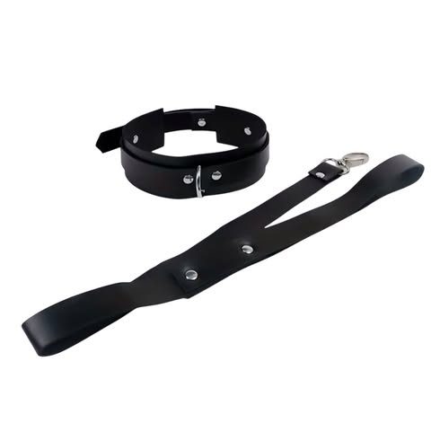 Ensemble collier et laisse – Image 2