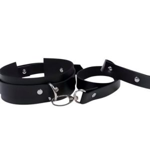 Ensemble collier et laisse