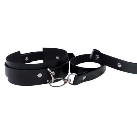 Ensemble collier et laisse